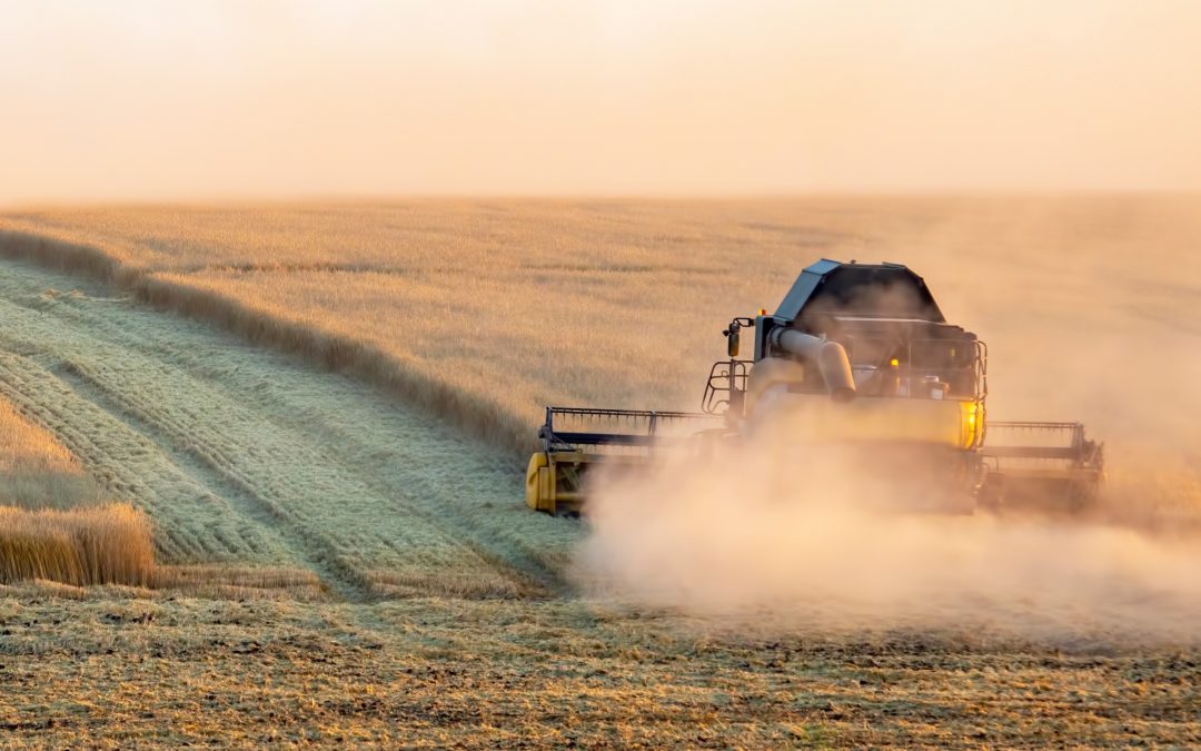 Measuring Harvester Losses in Western Australia