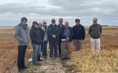 Esperance turns it on for Grains SLT