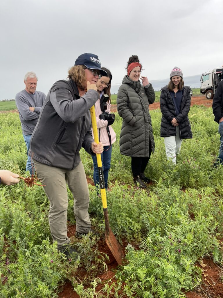 Yuna Vetch Lupins Trial - July '22